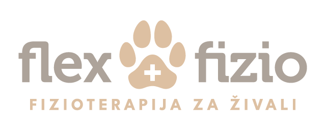 FlexFizio